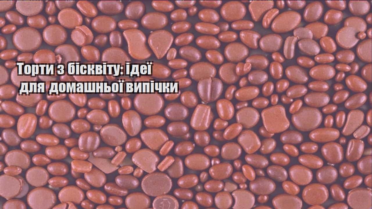 torty z biskvitu ideyi dlya domashnoyi vypichky