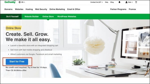 godaddy online store twxdm